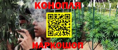 крисы Конаково
