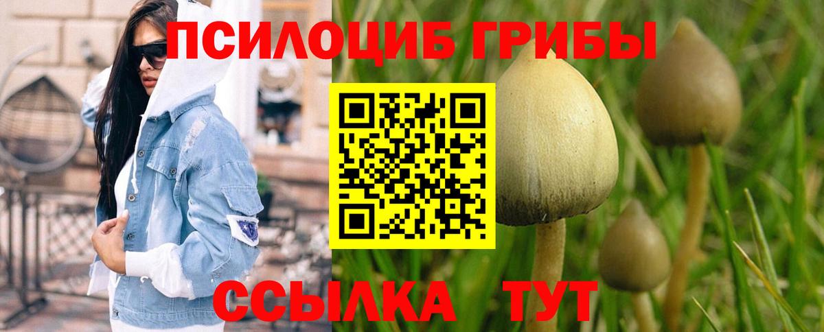 Галлюциногенные грибы MAGIC MUSHROOMS  Вход с VPN  Туймазы  Псилоцибиновые грибы ЛСД 